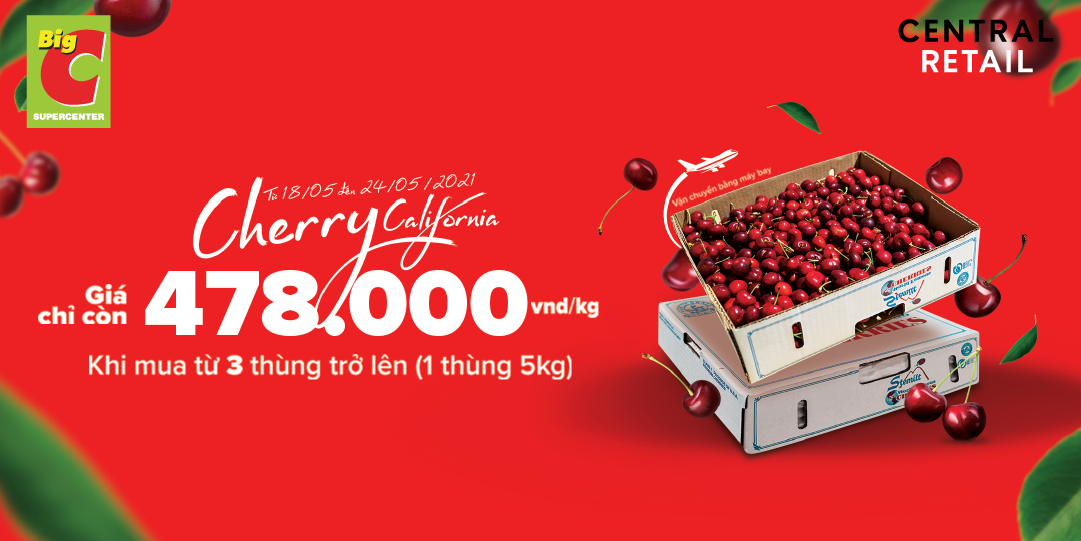 CHERRY HÁI TẠI VƯỜN, NHẬP KHẨU NGUYÊN KIỆN, NGUYÊN SEAL