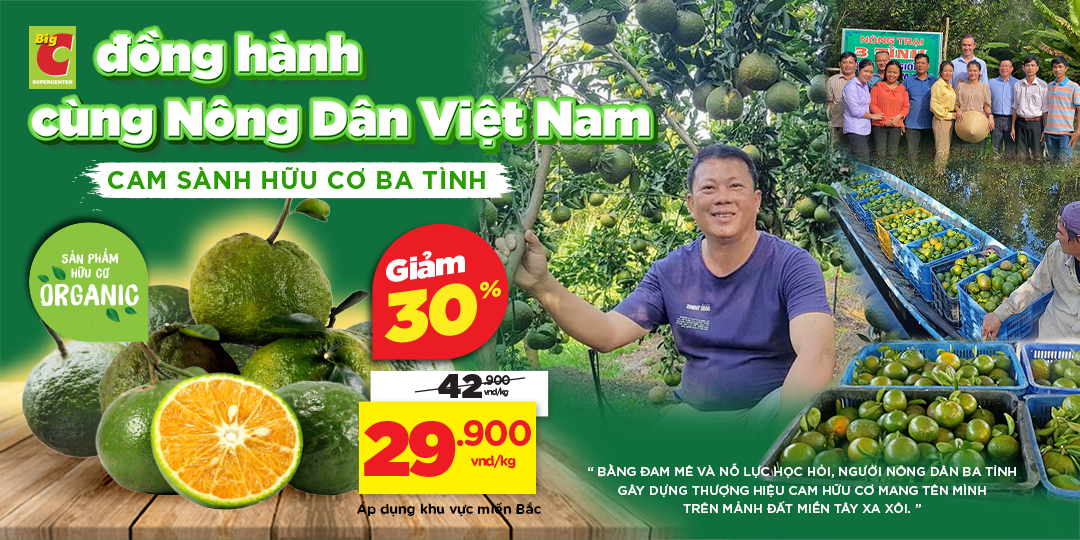 [MIỀN BẮC] CAM SÀNH BA TÌNH - HÀNH TRÌNH TỪ NÔNG TRẠI HỮU CƠ ĐẾN GIỎ HÀNG SIÊU THỊ