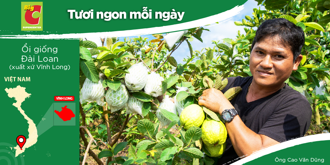 CAO VAN DUNG - SUCCESSFUL FARMER GROWING PAPAYAS WITH GO! & BIG C SUPERMARKET