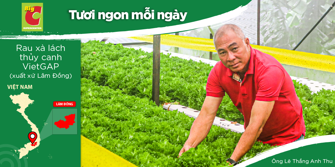 CÂU CHUYỆN ĐẦY CẢM HỨNG VỀ CÔNG TY TNHH ĐÀ LẠT GREEN, MỘT HÀNH TRÌNH MÀU XANH TƯƠI MỚI ĐƯỢC KHỞI ĐẦU TỪ NĂM 2016.