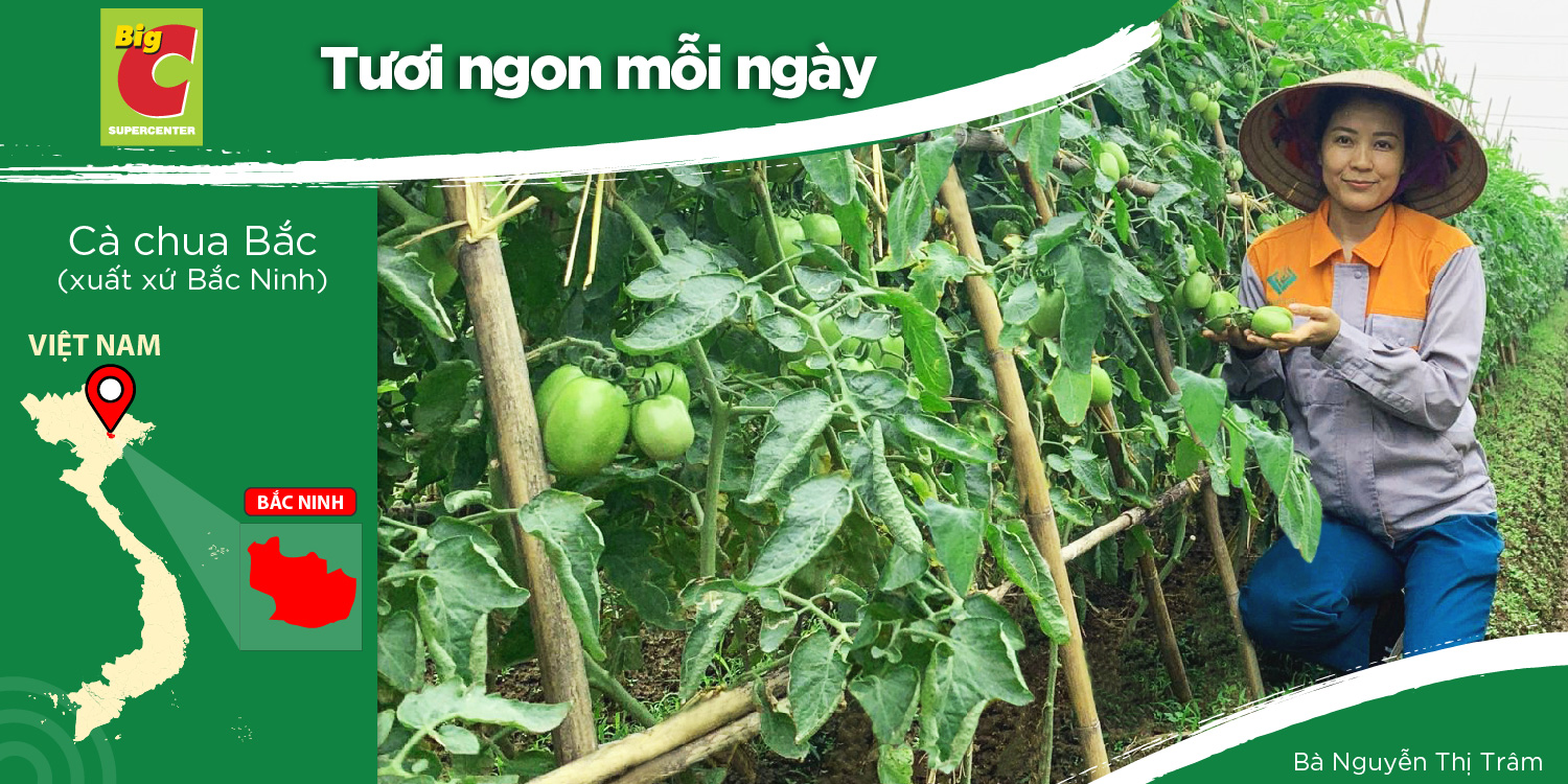 HAI PHONG - A YOUNG AND ENTHUSIASTIC AGRICULTURAL UNIT