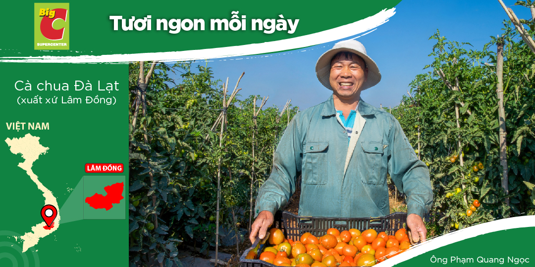 ANH PHẠM QUANG NGỌC - NÔNG DÂN TRỒNG RAU SẠCH TẠI LÂM ĐỒNG, ĐÀ LẠT