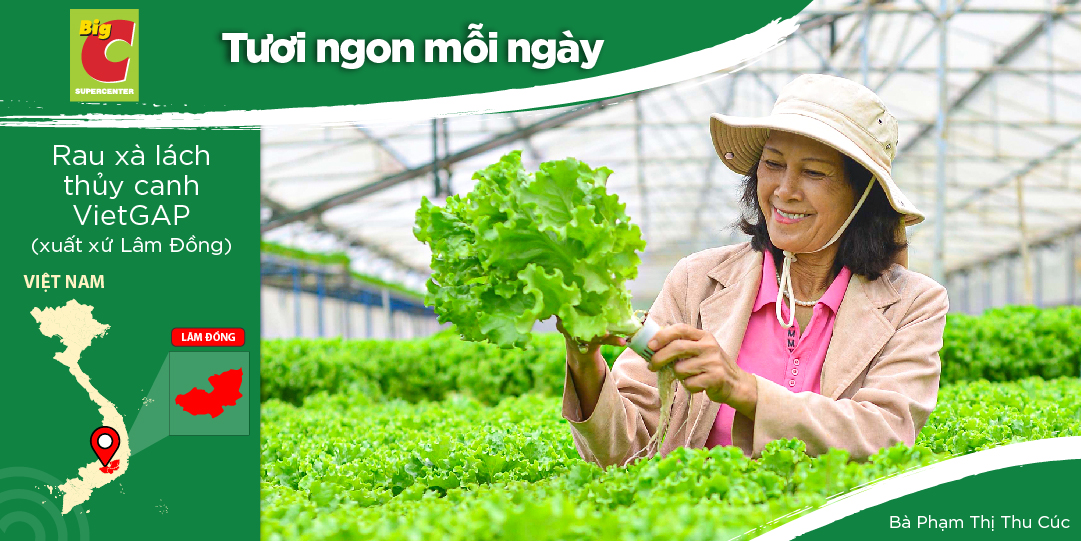 MS. PHAM THI THU CUC HAS FOUND HER WAY TO VEGETABLE FARMING AS A DESTINED ENCOUNTER